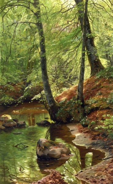 A Forest Stream