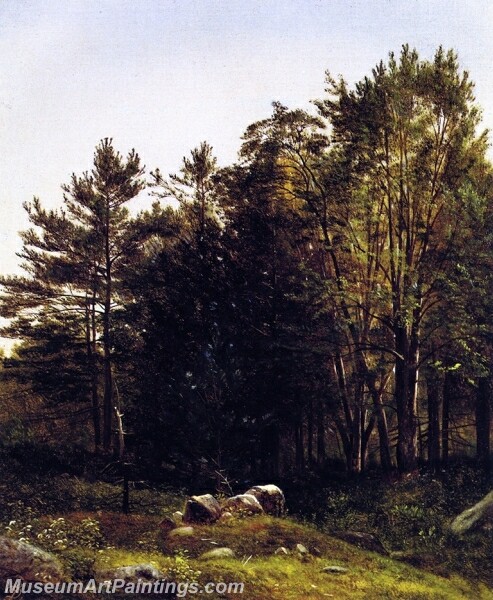 A Study near Tamworth New Hampshire Painting