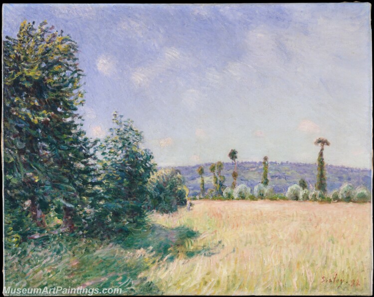 Alfred Sisley Sahurs Meadows in Morning Sun Painting