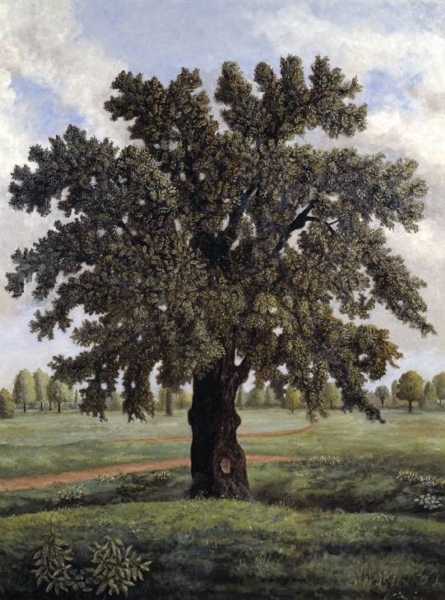 An English Oak Tree by Stephen McKenna