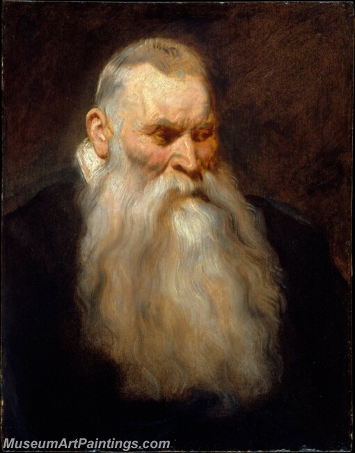 Anthony van Dyck Study Head of an Old Man with a White Beard Painting