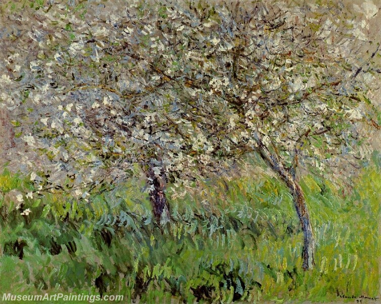 Apple Trees in Bloom at Giverny Painting