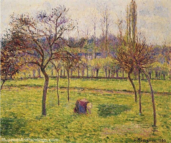 Apple Trees in a Field Painting