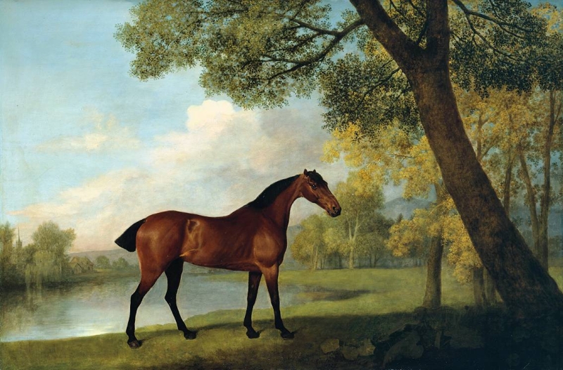Bay Hunter by a Lake by George Stubbs