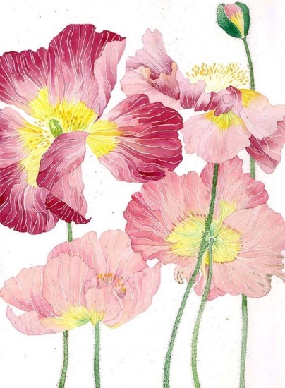 Beautiful Flower Oil Paintings 012