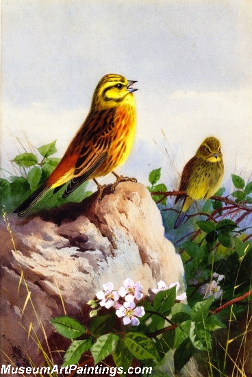 Bird Painting A Pair of Yellowhammers