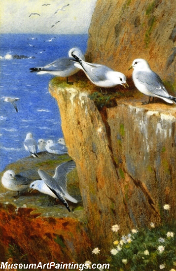 Bird Painting Seagulls