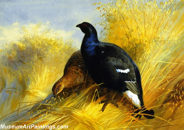 Bird Paintings Blackgame on Corn Stocks