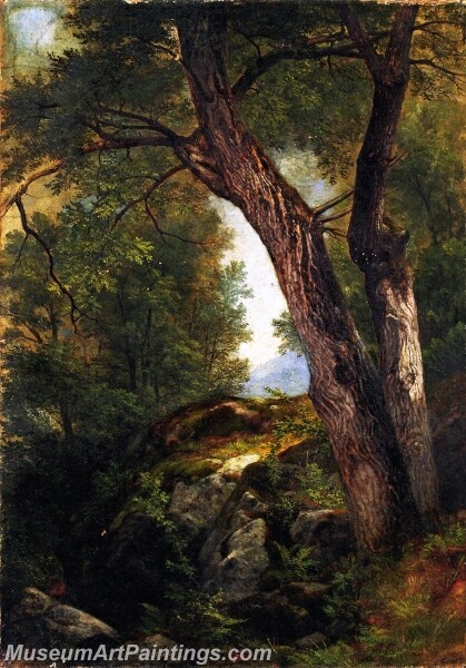 Butternut Tree at Hague Lake George New York Painting