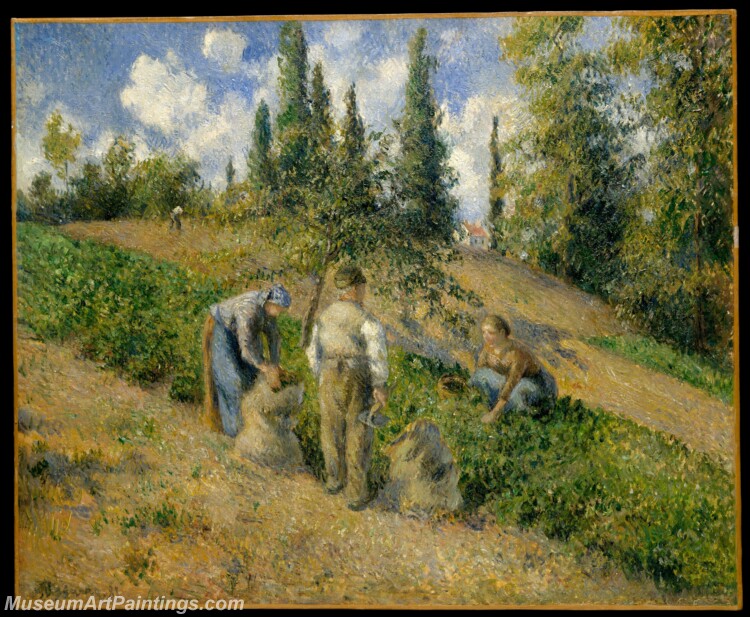 Camille Pissarro The Harvest Pontoise La Recolte Pontoise Painting