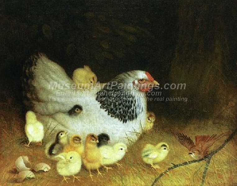 Chicken Hen Paintings The Outsider