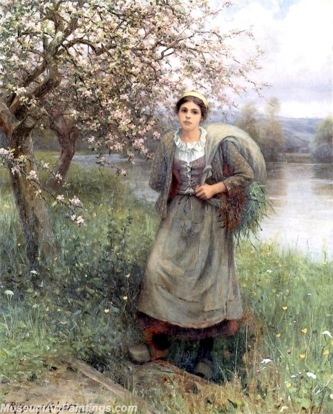 Countryside Paintings Apple Blossoms in Normandy