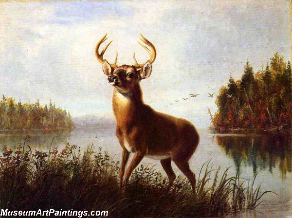 Deer Landscape Painting Eight Point Stag