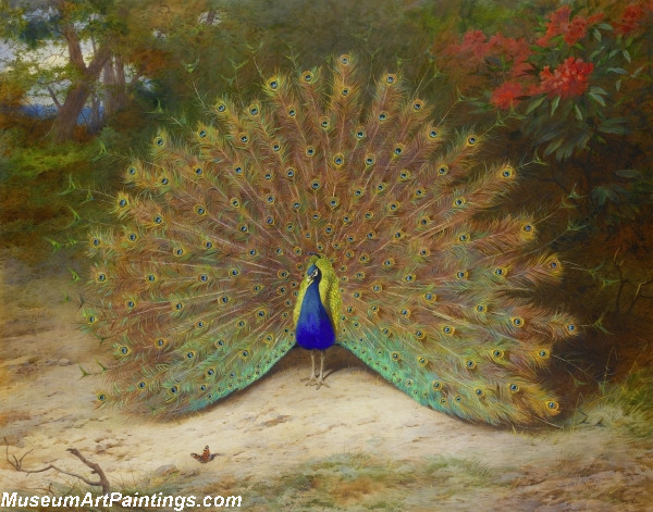 Famous Peacock Paintings Peacock and Peacock Butterfly