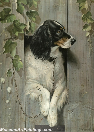 Handmade Dog Portrait Oil Paintings MA017
