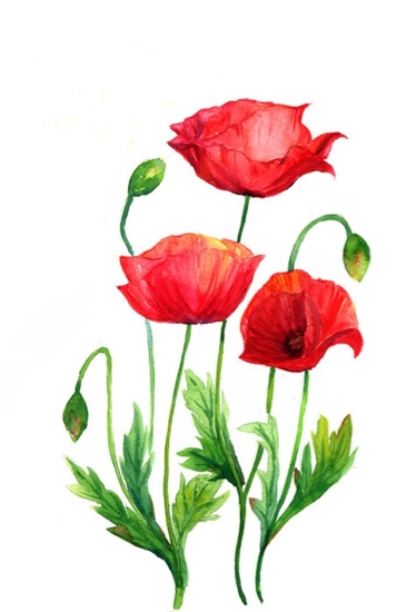Handmade Flower Oil Painting 016