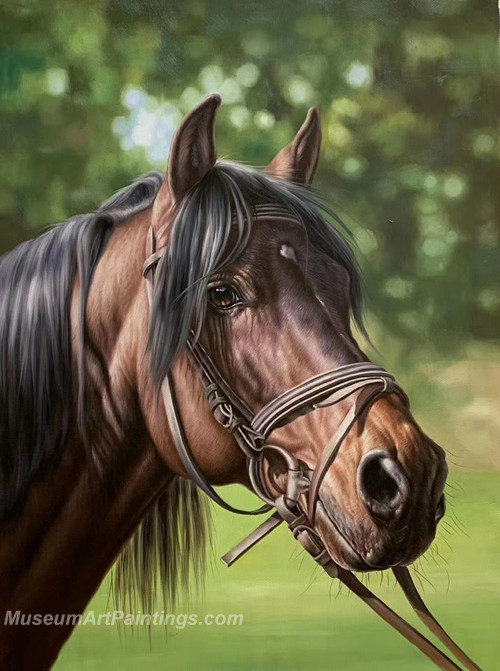 Handmade Horse Head Oil Paintings HHAS3