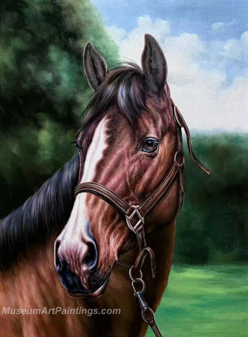 Handmade Horse Head Oil Paintings HHAS6