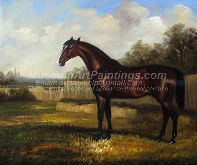Horse Oil Paintings 006