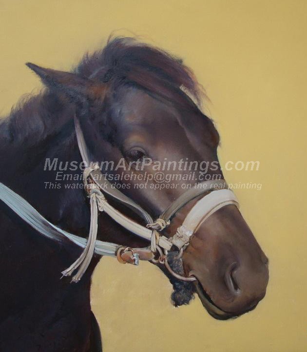 Horse Oil Paintings 008