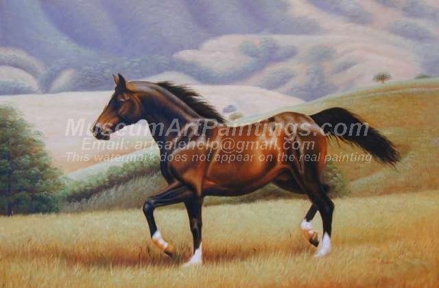 Horse Oil Paintings 020