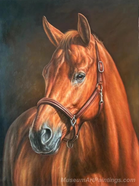 Horse Paintings Horse Head Painting HP5