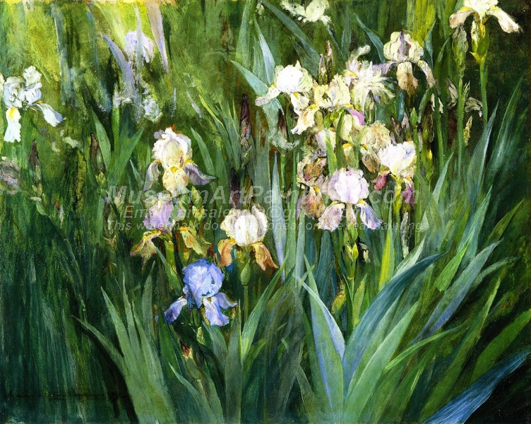 Iris at Dawn by Maria Oakey Dewing