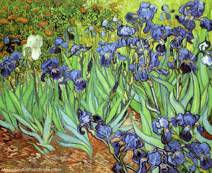 Irises Painting