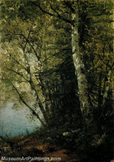 John Frederick Kensett Study of Beeches Painting