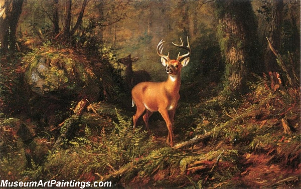 deer landscape