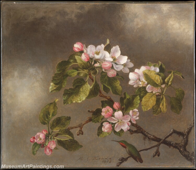 Martin Johnson Heade Hummingbird and Apple Blossoms Painting