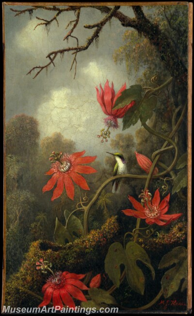 Martin Johnson Heade Hummingbird and Passionflowers Painting