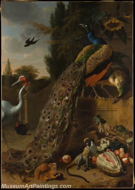 Melchior d Hondecoeter Peacocks Painting