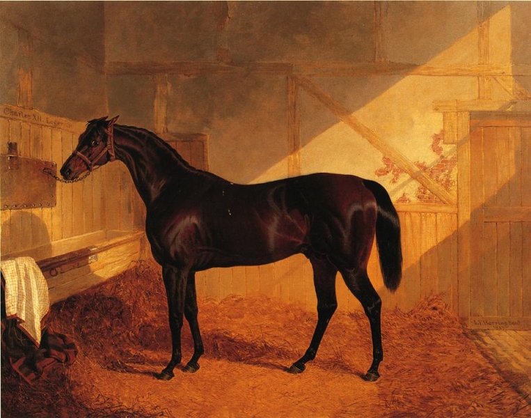MrJohnstones Charles XII in a Stable by John Frederick Herring