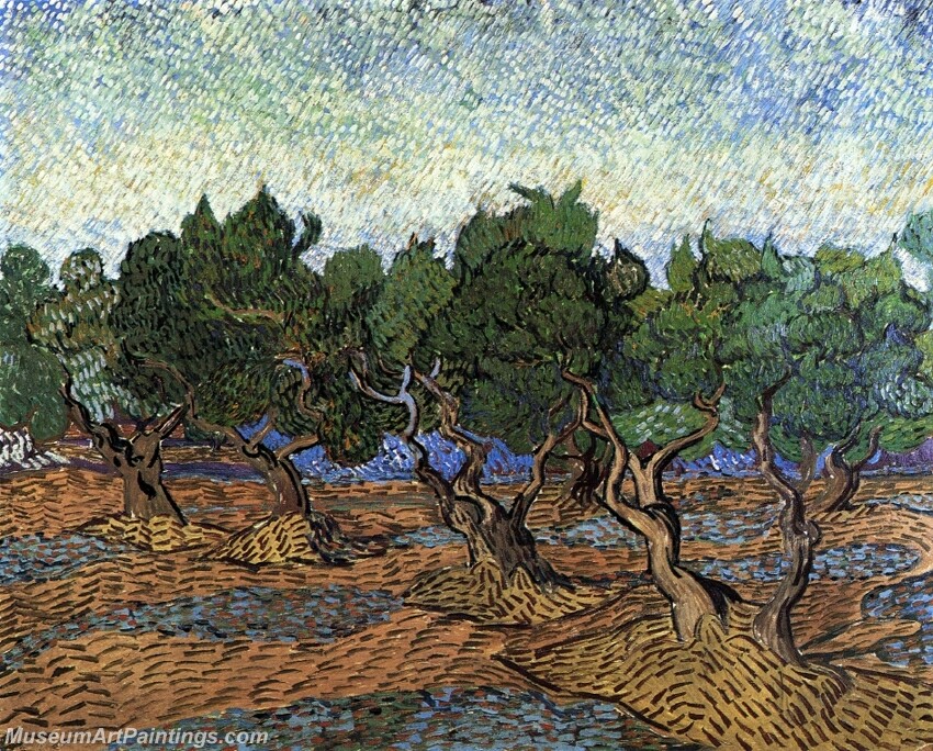 Olive Grove Painting