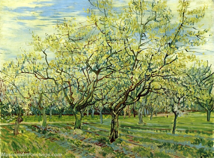 Orchard with Blossoming Plum Trees Painting