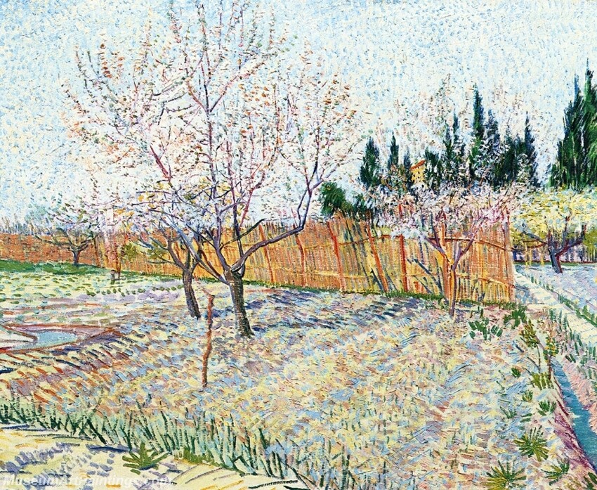 Orchard with Peach Trees in Blossom Painting