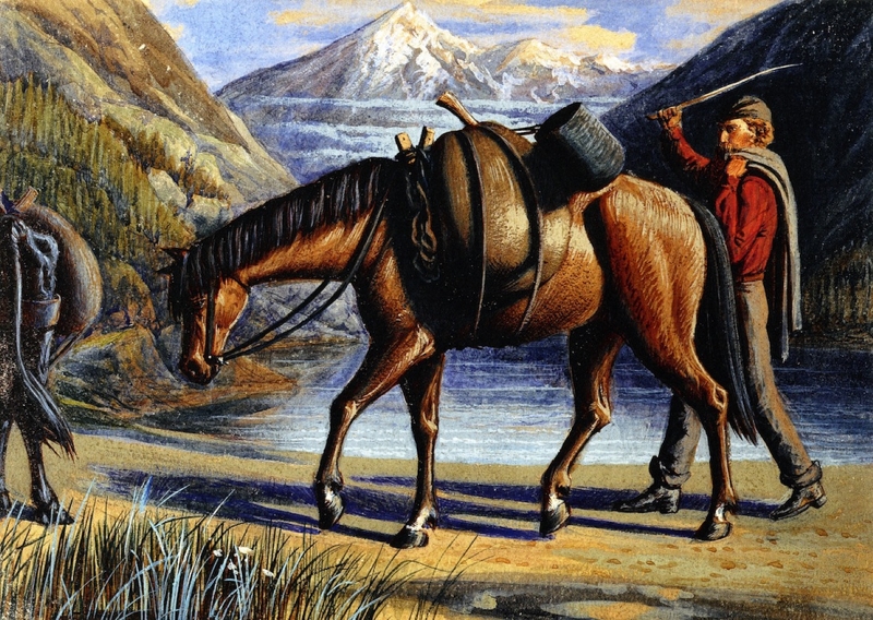 Pack Horse Athabaska River Rocky Mountains