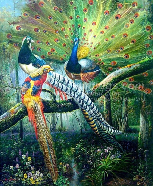 Peacock Oil Paintings 001