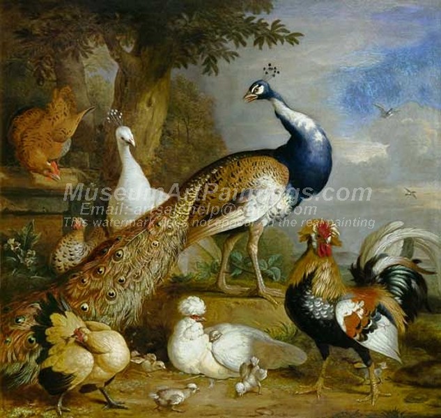 Peacock Oil Paintings 011