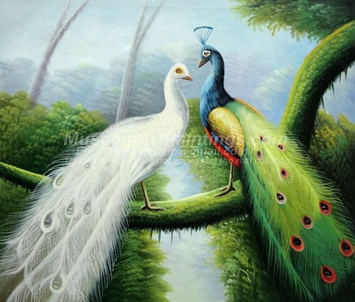 Peacock Oil Paintings 012