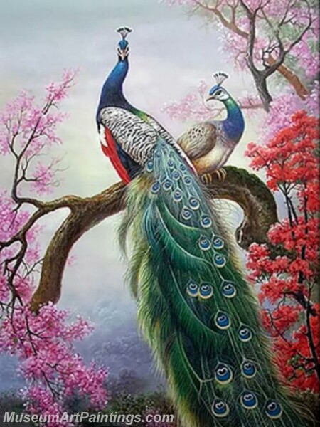 Peacock Oil Paintings PMP020