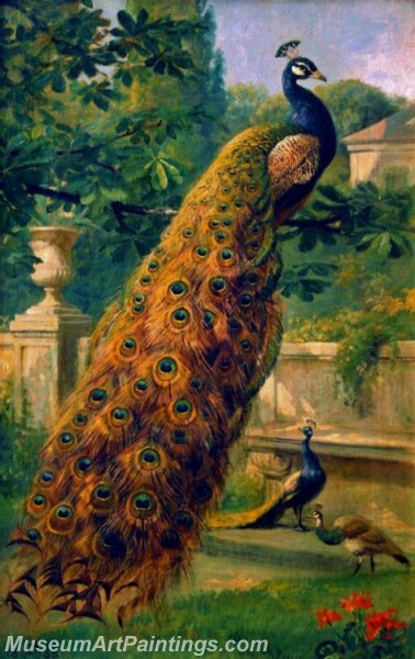Peacock Oil Paintings PMP021