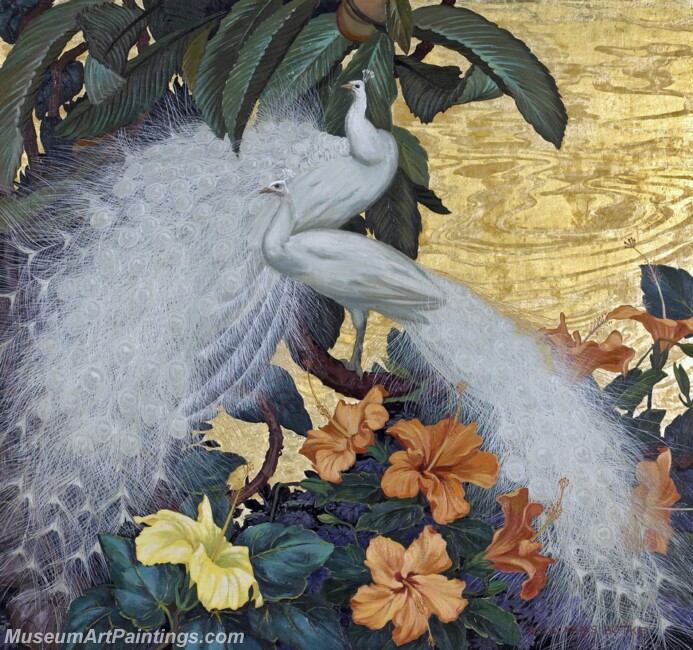 Peacock Paintings White Peacocks and Hibiscus