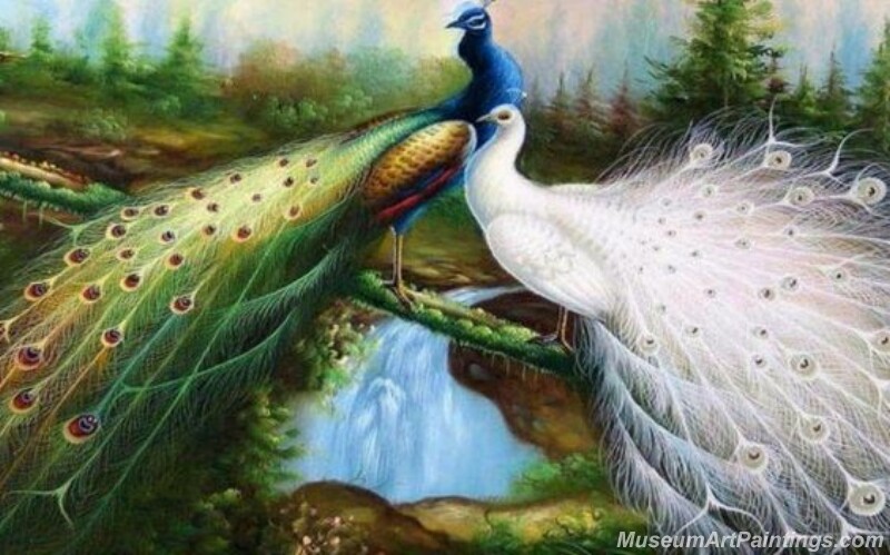 Peacocks Paintings for Sale PDM029