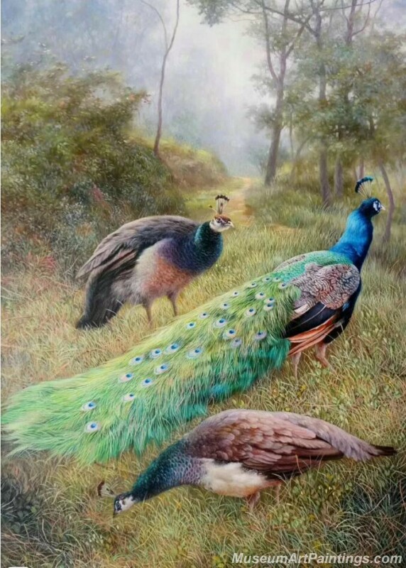 Peacocks Paintings for Sale PDM053
