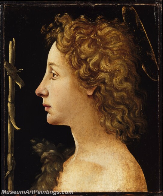 Piero di Cosimo The Young Saint John the Baptist Painting