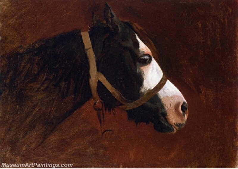 Profile of a Horse Painting