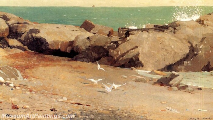 Rocky Coast and Gulls Painting