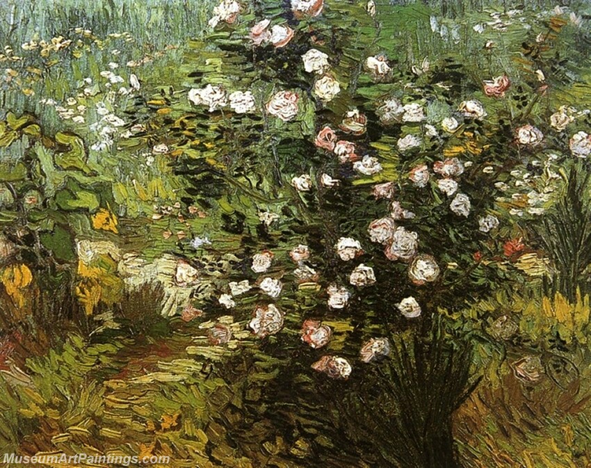 Rosebush i Blossom Painting